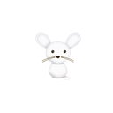Rat