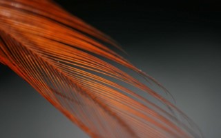 Description 10