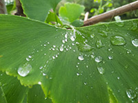 Image 02