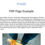 A JavaScript Library For Printing Any Elements On The Page – Print.js