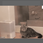 Simple Vanilla JavaScript Modal Library