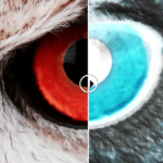 Compare Two Layered Images With A Slider – Scrub Slider