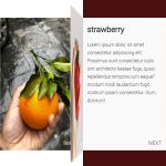 CSS Only 3D Flip Book Animation
