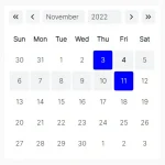 Lightweight Accessible Date Picker Component – WC Datepicker