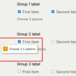 Precise Checkbox Validation With Required Checkboxes Web Component