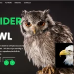 Vanilla JS Carousel Slider With Modern Look and Auto-Play